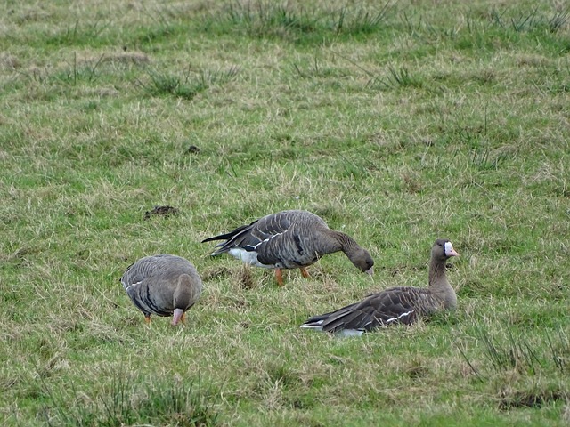 他们需要迅 他们需要迅