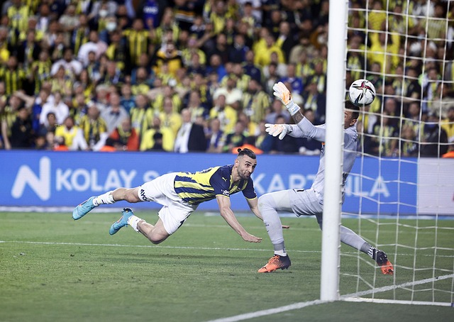 数次精彩的 数次精彩的