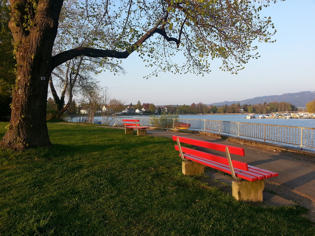 尤文图斯的 尤文图斯的
