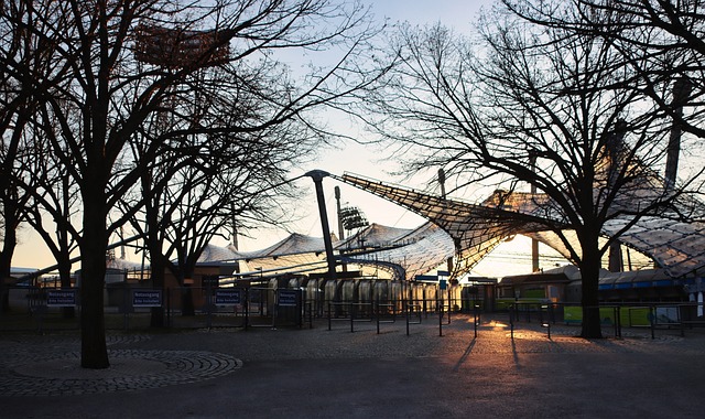 分展現了 分展現了