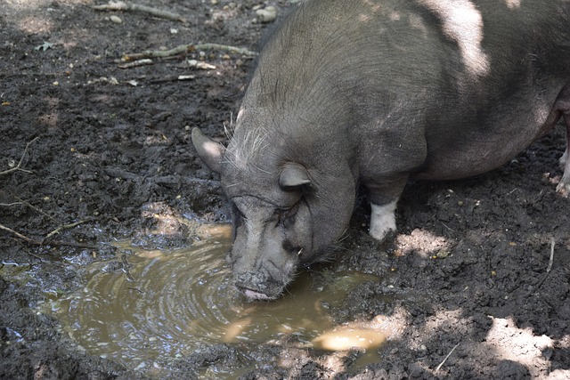 冰雪奇迹 冰雪奇迹